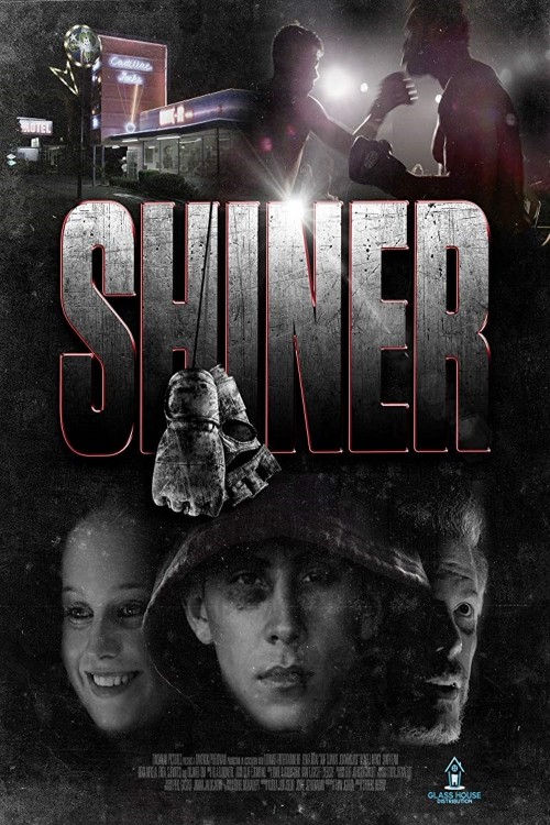shiner cover image