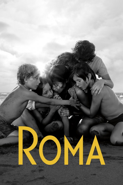 roma cover image