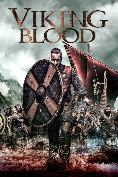 viking blood cover image