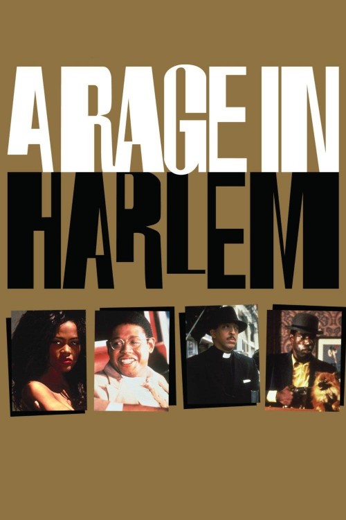 a rage in harlem cover image