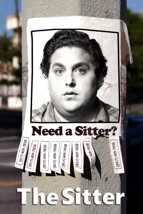 the sitter cover image