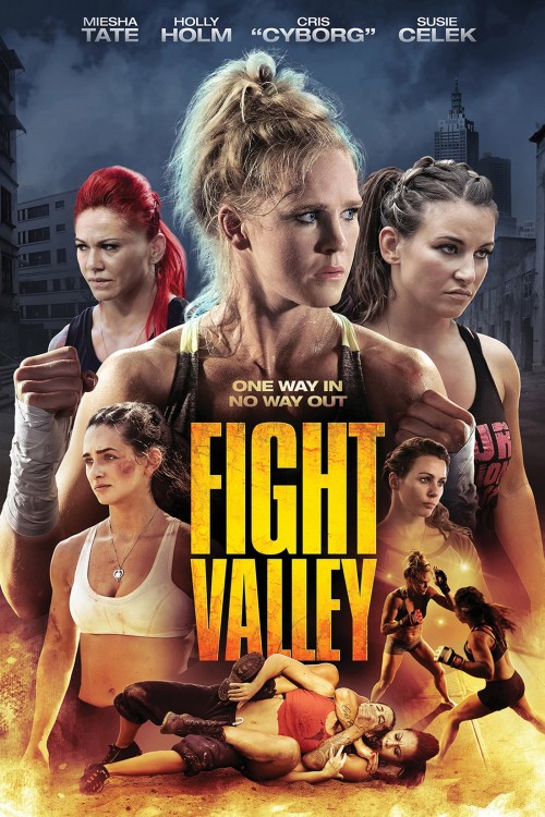 fight valley cover image
