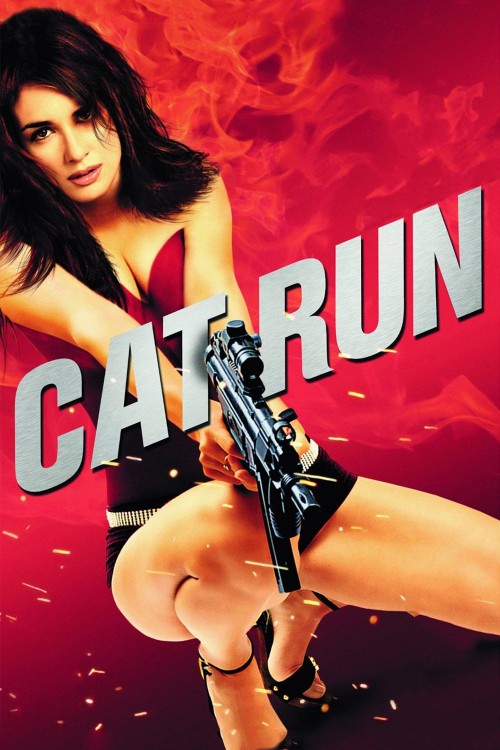 cat run cover image