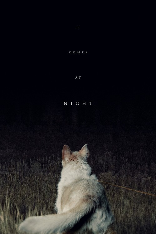 it comes at night cover image
