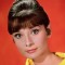 audrey hepburn movies
