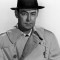alan ladd movies
