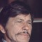 charles bronson movies