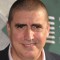 alfred molina movies