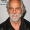 tommy chong movies