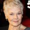 judi dench movies