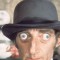 marty feldman movies