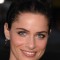 amanda peet movies