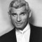 jeff chandler movies