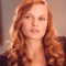 vinessa shaw movies