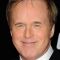 brad bird movies