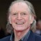 david bradley movies