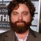 zach galifianakis movies