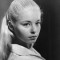jill haworth movies