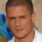 wentworth miller movies