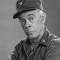 harry morgan movies