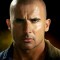 dominic purcell movies