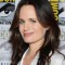 elizabeth reaser movies