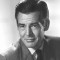 robert ryan movies