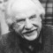 jack warden movies