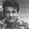 stuart whitman movies
