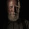 scott wilson movies