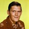 dick york movies