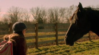 Orphan Horse screenshot 2
