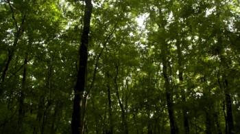 You Might Be the Killer screenshot 1