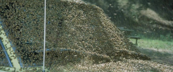 The Swarm screenshot 1