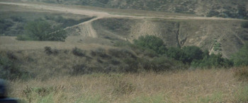 The Swarm screenshot 2