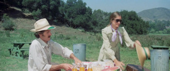 The Swarm screenshot 3