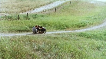 The Reflecting Skin screenshot 1