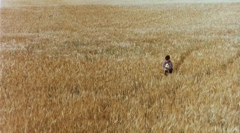 The Reflecting Skin screenshot 2