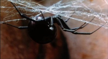 Doses of Horror screenshot 3