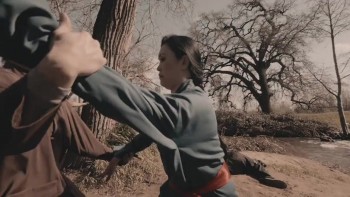 Immortal Fist: The Legend of Wing Chun screenshot 2