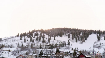 The Tickle King screenshot 3