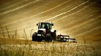 Virus of the Dead screenshot 2