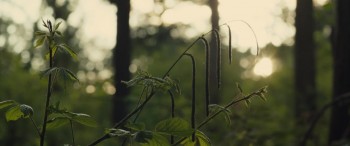 Long Forgotten Fields screenshot 1