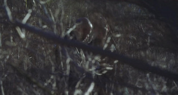 Backtrace screenshot 2