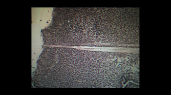 Bob Lazar: Area 51 & Flying Saucers screenshot 2