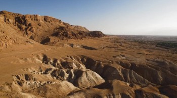 American Circumcision screenshot 2