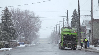 The Red Pill screenshot 3