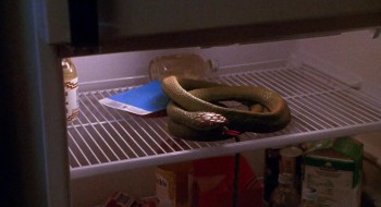 Teenage Mutant Ninja Turtles II: The Secret of the Ooze screenshot 1