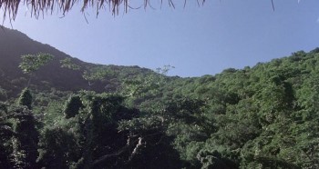 The Island of Dr. Moreau screenshot 1