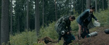 Redwood screenshot 3